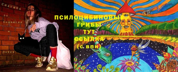 прущая мука Новодвинск