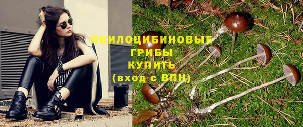 герыч Шарыпово