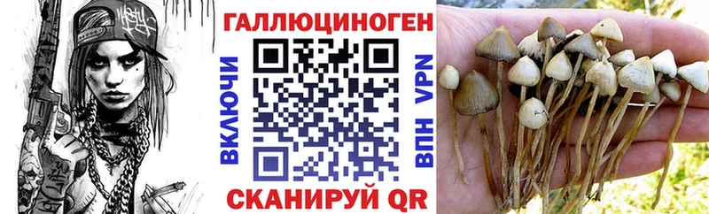 Галлюциногенные грибы прущие грибы  Пионерский 